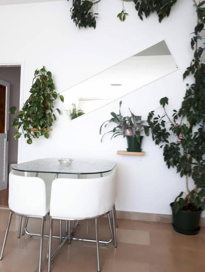 Eva Apartment *